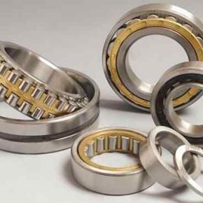 Cylindrical Roller Bearings NF Series