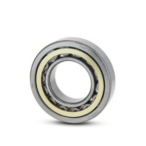 Cylindrical Roller Bearing NUP Series